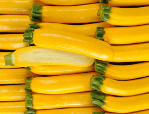 8432_COURGETTE_JAUNE.jpg Courgettes, légumes de juin