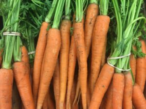 Carrots_on_Display